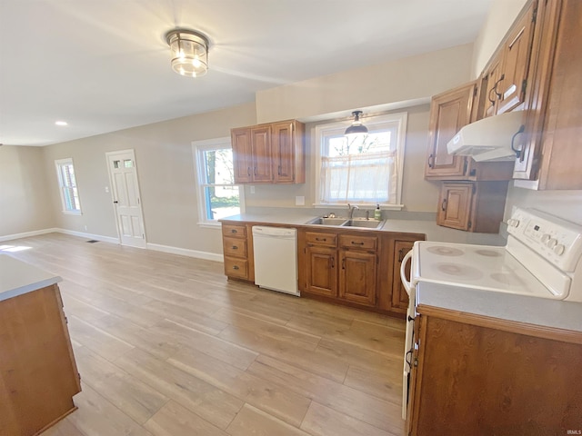 kitchen featuring white appliances, range hood, brown cabinetry, light wood-style flooring, and a sink