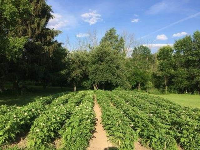 exterior space featuring a vegetable garden