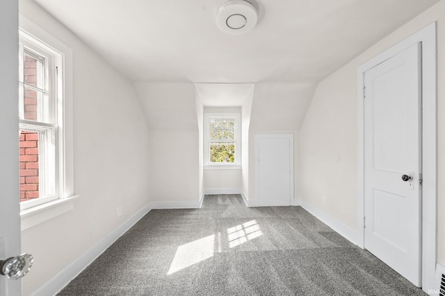 additional living space with baseboards, lofted ceiling, and carpet flooring