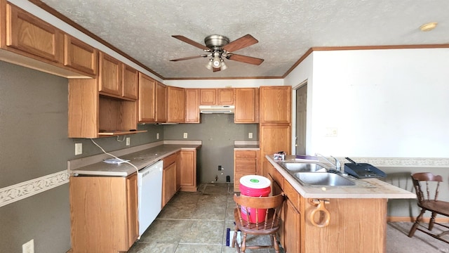 kitchen with under cabinet range hood, white dishwasher, a textured ceiling, a ceiling fan, and a sink