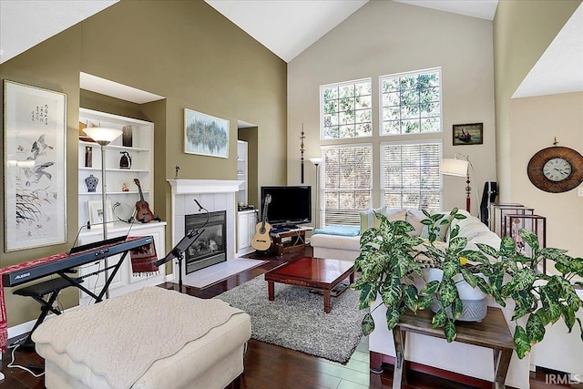 living area featuring wood finished floors, a fireplace, and high vaulted ceiling