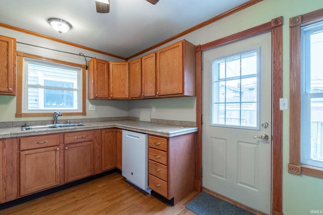 kitchen with light wood finished floors, ornamental molding, white dishwasher, and a sink