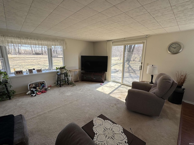 living room with carpet floors