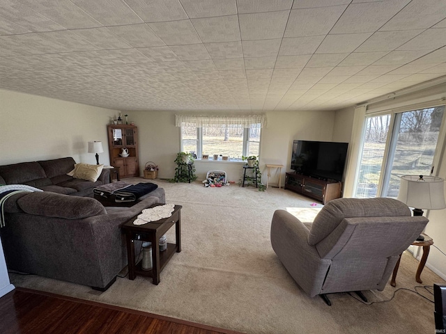 living area featuring carpet flooring