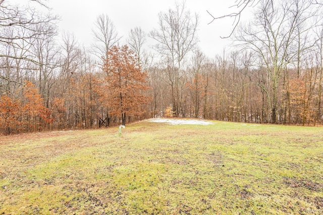 view of yard featuring a wooded view