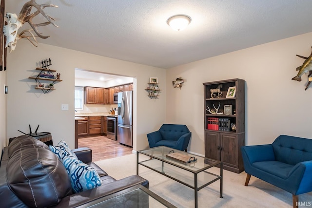 living area with a textured ceiling and light wood-style flooring