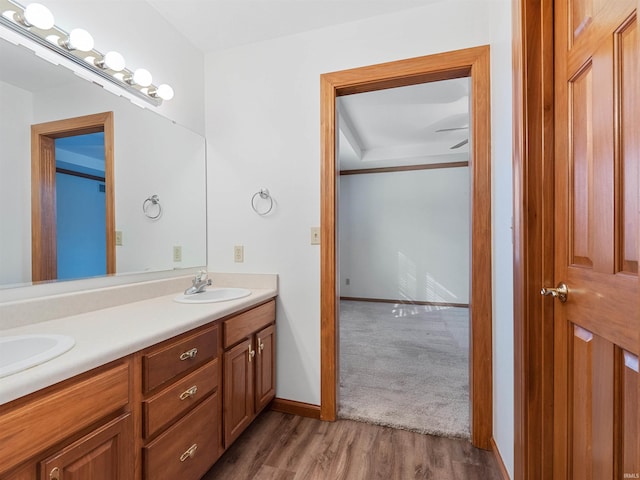 bathroom with a sink, baseboards, wood finished floors, and double vanity