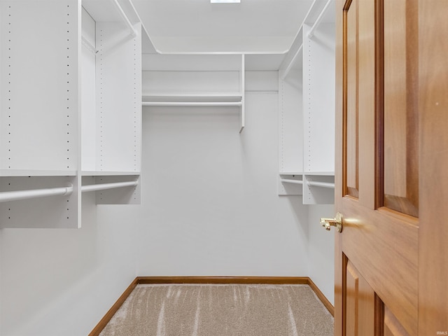 walk in closet with carpet