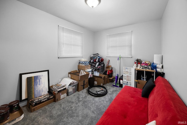 game room with carpet