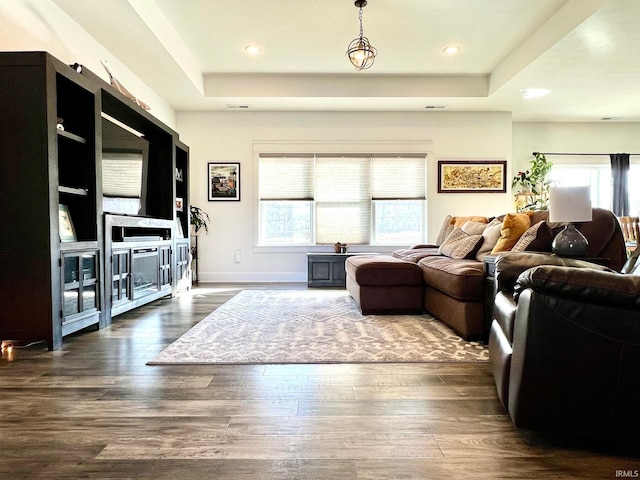 living room with a wealth of natural light, a tray ceiling, and wood finished floors