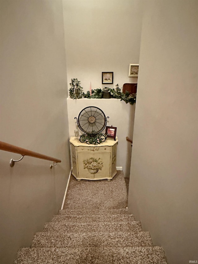 stairs featuring carpet floors