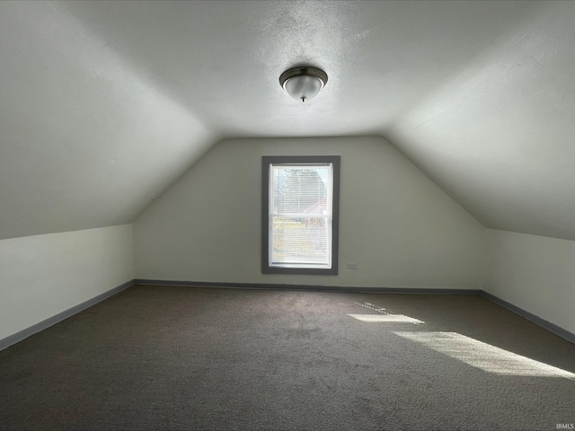 additional living space featuring a textured ceiling, lofted ceiling, baseboards, and carpet floors