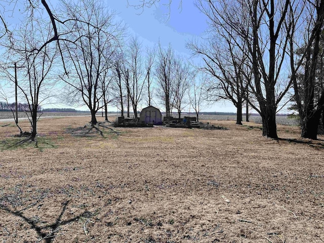 view of yard featuring an outbuilding and a storage shed