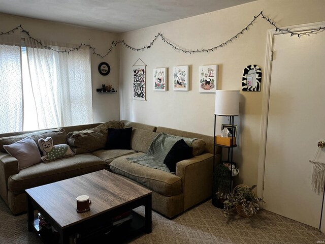 living area featuring carpet