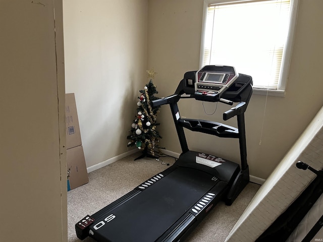 workout room featuring baseboards and carpet floors