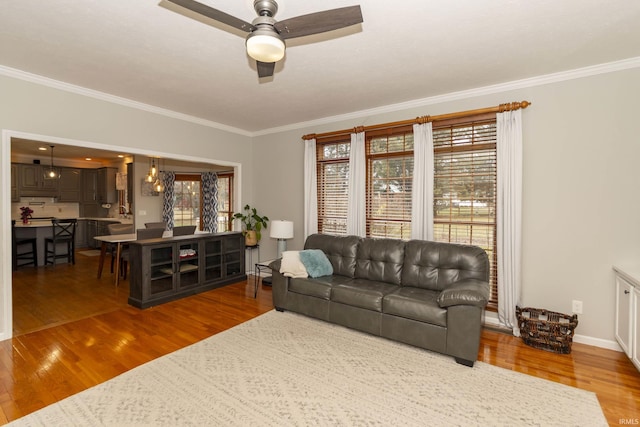 living area featuring baseboards, crown molding, a ceiling fan, and wood finished floors