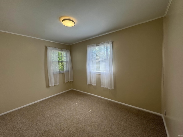 empty room with baseboards, carpet, and ornamental molding