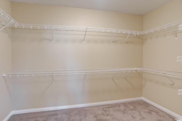 spacious closet featuring carpet flooring