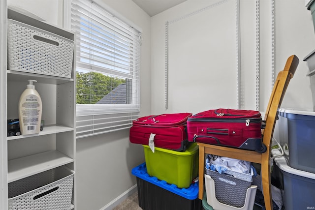 view of storage room