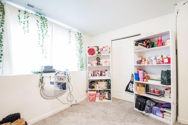 rec room with visible vents and carpet floors