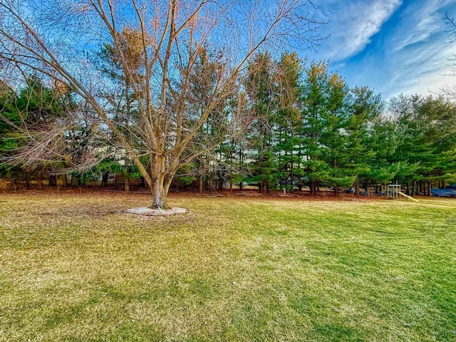 view of yard featuring a playground