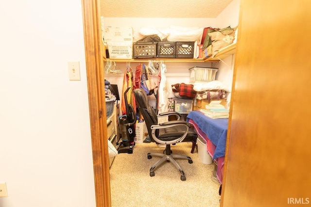 view of carpeted office space