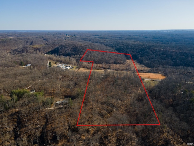 drone / aerial view with a view of trees and a rural view