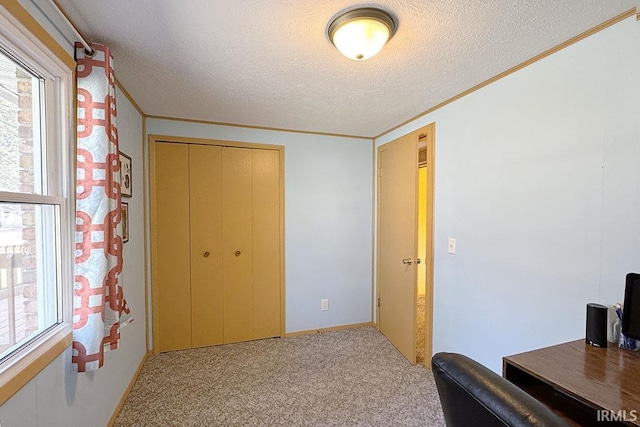 home office with light colored carpet, crown molding, and a textured ceiling