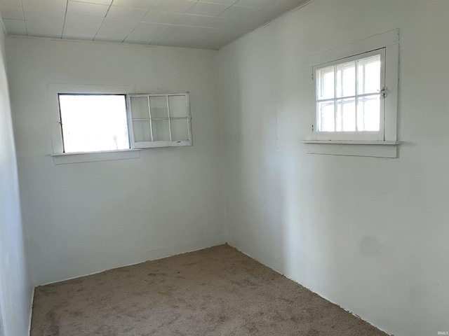 empty room with carpet flooring