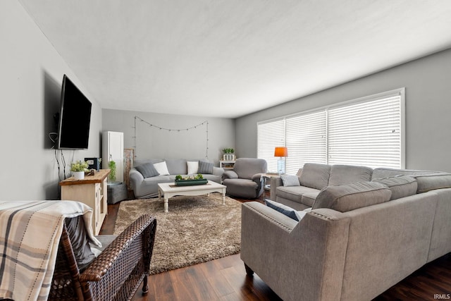 living area featuring dark wood-style floors