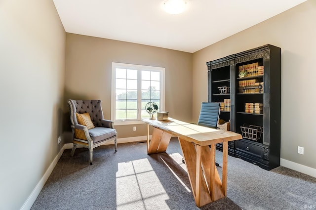 office space featuring carpet and baseboards