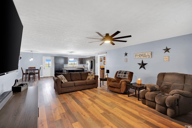 living area with a textured ceiling and wood finished floors