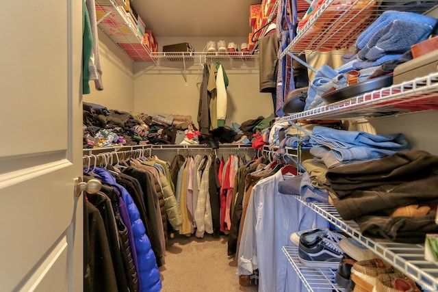 spacious closet featuring carpet flooring