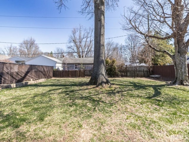 view of yard with a fenced backyard