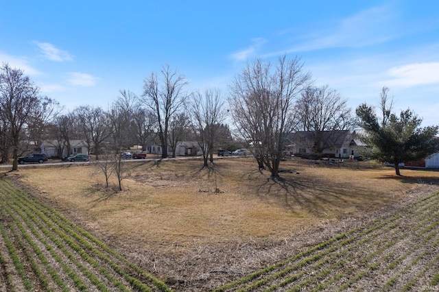 view of yard featuring a rural view