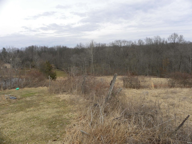 view of local wilderness featuring a rural view and a wooded view