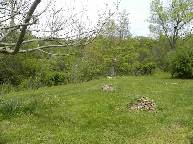 view of yard featuring a view of trees