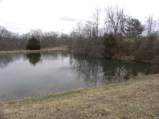 water view featuring a wooded view