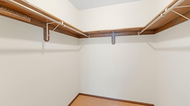 walk in closet with carpet floors