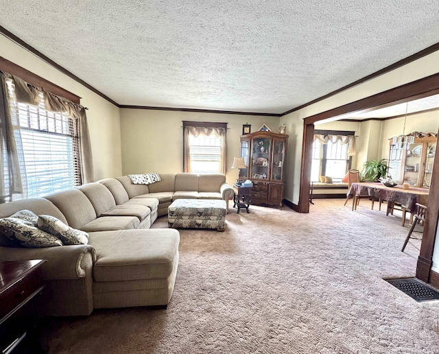 living area featuring crown molding, carpet, visible vents, and a textured ceiling