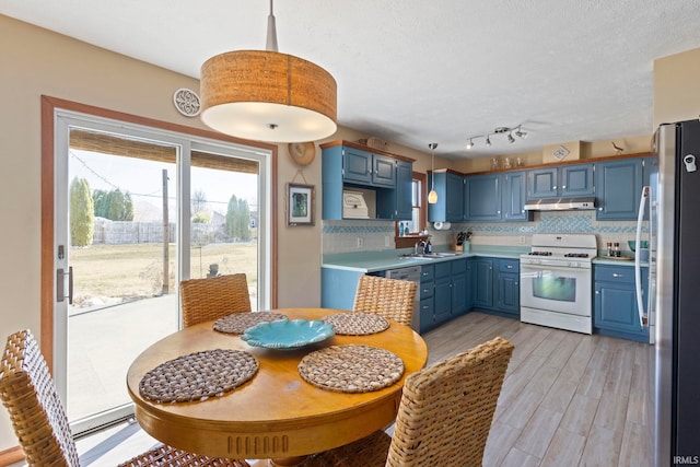 kitchen featuring under cabinet range hood, blue cabinets, appliances with stainless steel finishes, and a sink