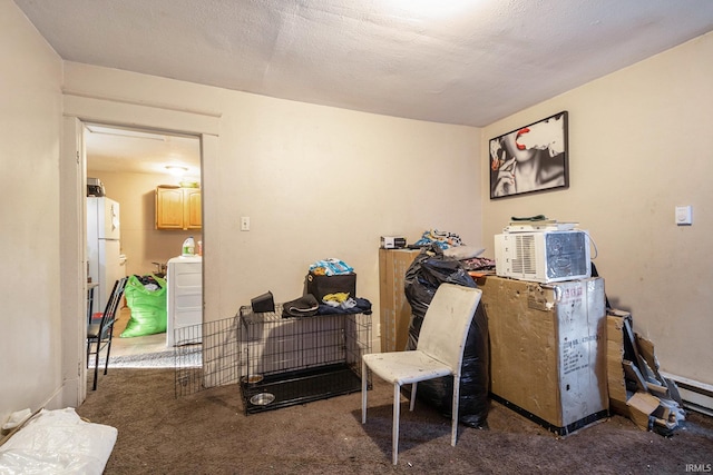 misc room with a textured ceiling, carpet, and a baseboard radiator