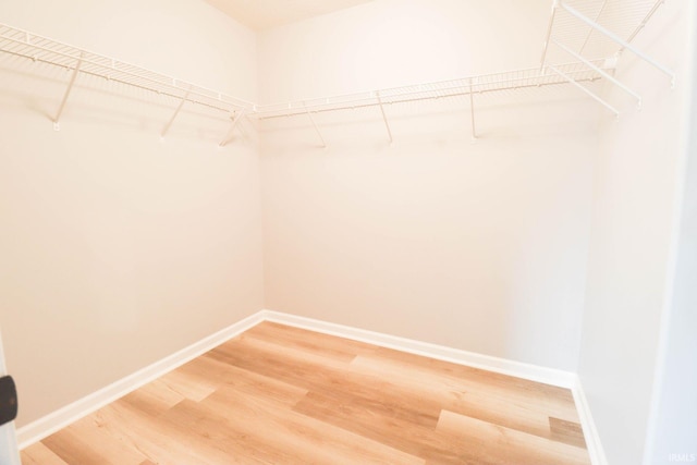 walk in closet with light wood-style flooring