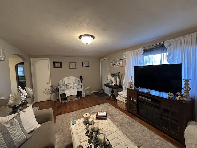 living area featuring wood finished floors and arched walkways