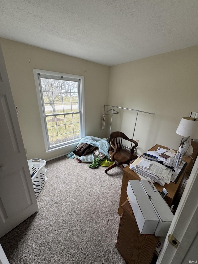 bedroom with a textured ceiling and carpet flooring