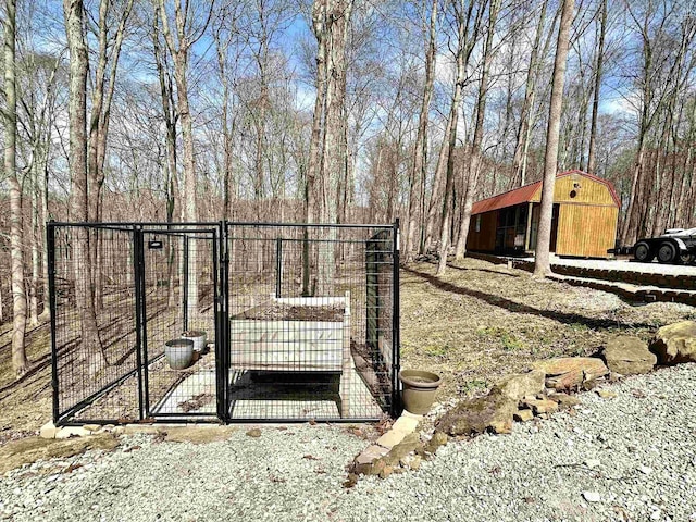 view of yard featuring an outbuilding