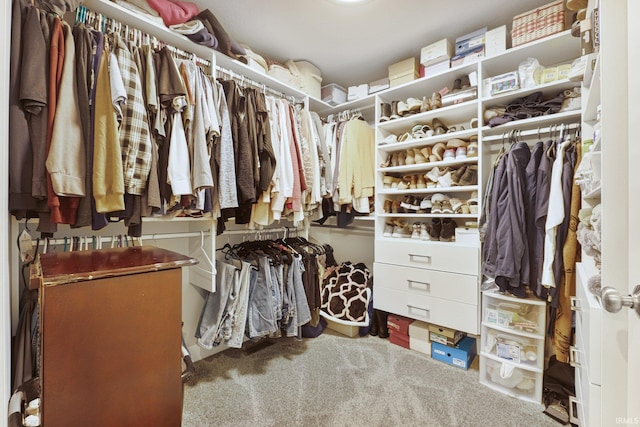 spacious closet with carpet