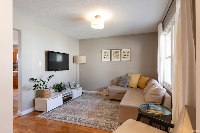 living room featuring a wealth of natural light, a textured ceiling, baseboards, and wood finished floors