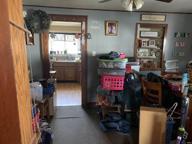 interior space featuring a sink, carpet, ceiling fan, and ornamental molding