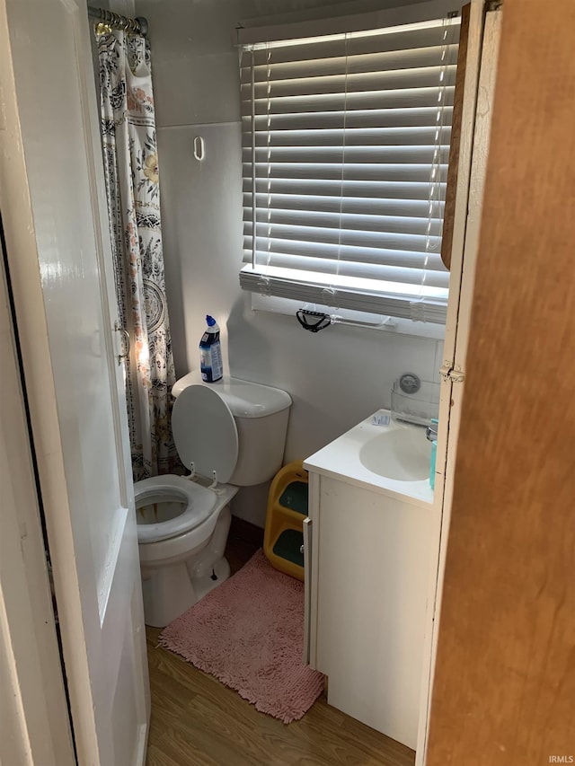 bathroom featuring vanity, toilet, and wood finished floors